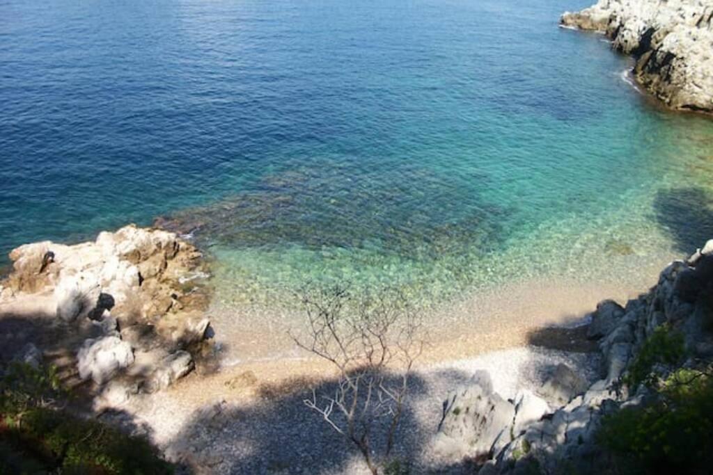 Coeur De Juan, Calme, 300M Plages - Easy Check-In 앙티브 외부 사진